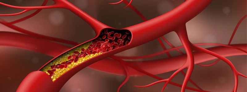 Bioglutide NA-931 blood | Shaanxi BLOOM Tech Co., Ltd Bioglutide NA-931 blood | Shaanxi BLOOM Tech Co., Ltd