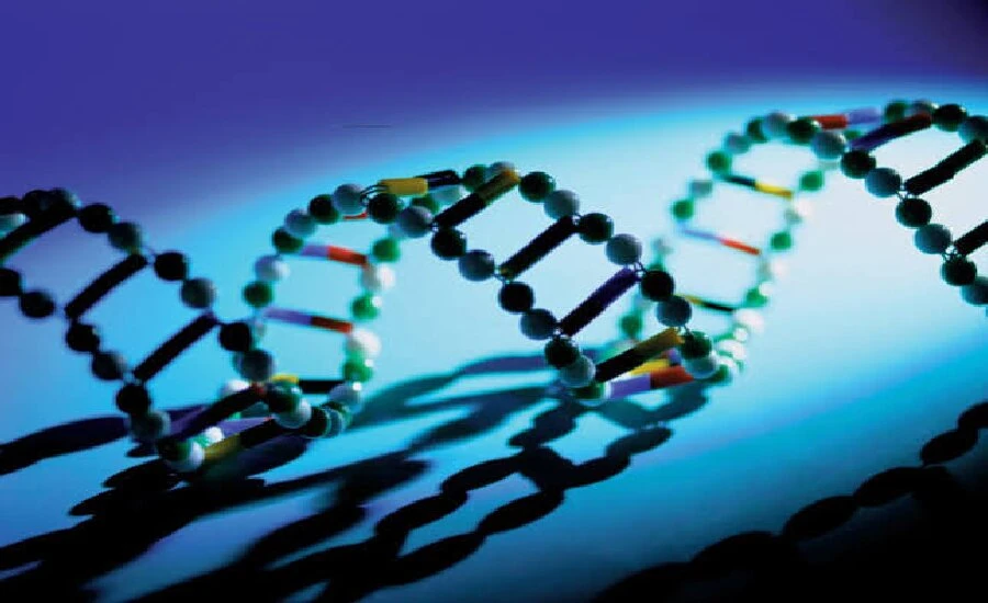 5-Amino-1MQ method | Kpeptide 5-Amino-1MQ method | Kpeptide