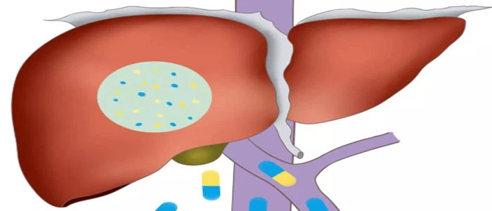 Bioglutide NA-931 Buy | Shaanxi BLOOM Tech Co., Ltd Bioglutide NA-931 Buy | Shaanxi BLOOM Tech Co., Ltd