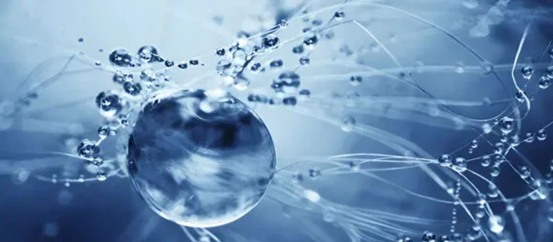 Bioglutide NA-931 Cost | Shaanxi BLOOM Tech Co., Ltd Bioglutide NA-931 Cost | Shaanxi BLOOM Tech Co., Ltd