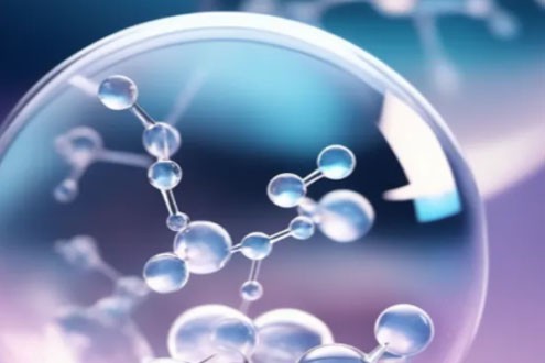 SLU-PP-332 For sale | Shaanxi BLOOM Tech Co., Ltd SLU-PP-332 For sale | Shaanxi BLOOM Tech Co., Ltd