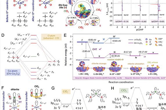 5-Amino-1MQ NAMPT | Shaanxi BLOOM Tech Co., Ltd 5-Amino-1MQ NAMPT | Shaanxi BLOOM Tech Co., Ltd