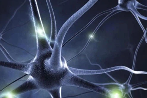 5-Amino-1MQ Price | Shaanxi BLOOM Tech Co., Ltd 5-Amino-1MQ Price | Shaanxi BLOOM Tech Co., Ltd