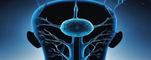 5-Amino-1MQ For sale | Shaanxi BLOOM Tech Co., Ltd 5-Amino-1MQ For sale | Shaanxi BLOOM Tech Co., Ltd