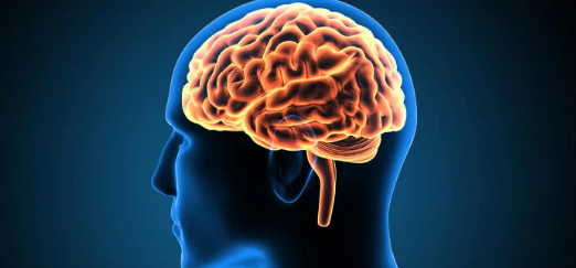 Bioglutide NA-931 purchase | Shaanxi BLOOM Tech Co., Ltd Bioglutide NA-931 purchase | Shaanxi BLOOM Tech Co., Ltd