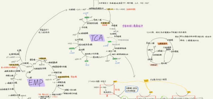 Bioglutide NA-931 Drug | Shaanxi BLOOM Tech Co., Ltd Bioglutide NA-931 Drug | Shaanxi BLOOM Tech Co., Ltd
