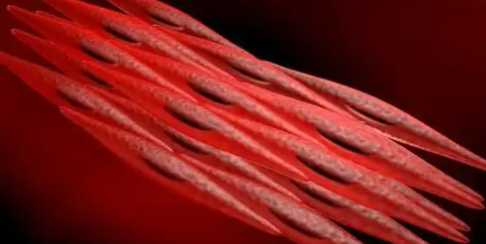 5-Amino-1MQ for sale | Shaanxi BLOOM Tech Co., Ltd 5-Amino-1MQ for sale | Shaanxi BLOOM Tech Co., Ltd