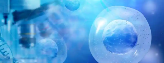 5-Amino-1MQ Cellular Energy Distribution Patterns | Shaanxi BLOOM Tech Co., Ltd 5-Amino-1MQ Cellular Energy Distribution Patterns | Shaanxi BLOOM Tech Co., Ltd