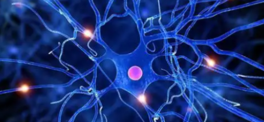 5-Amino-1MQ Cognitive Function Enhancement | Shaanxi BLOOM Tech Co., Ltd 5-Amino-1MQ Cognitive Function Enhancement | Shaanxi BLOOM Tech Co., Ltd