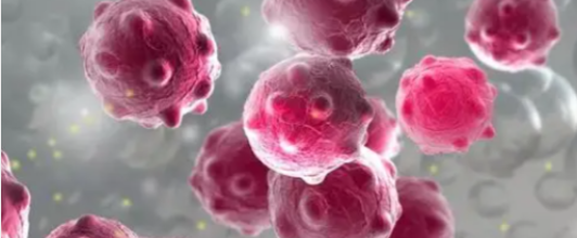 5-Amino-1MQ regulatory processes | Shaanxi BLOOM Tech Co., Ltd 5-Amino-1MQ regulatory processes | Shaanxi BLOOM Tech Co., Ltd