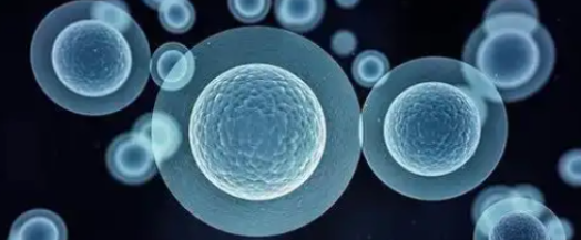 5-Amino-1MQ Systemic Metabolic Balance Considerations | Shaanxi BLOOM Tech Co., Ltd 5-Amino-1MQ Systemic Metabolic Balance Considerations | Shaanxi BLOOM Tech Co., Ltd