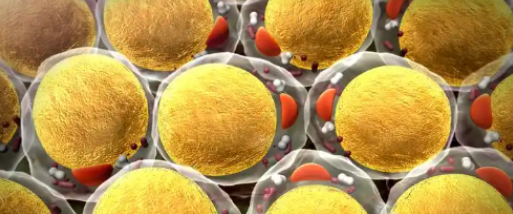 Bioglutide NA-931 Glycemic Control and Insulin Sensitivity | Shaanxi BLOOM Tech Co., Ltd Bioglutide NA-931 Glycemic Control and Insulin Sensitivity | Shaanxi BLOOM Tech Co., Ltd