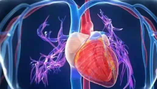 Bioglutide NA-931 Long-Term Metabolic Adaptation | Shaanxi BLOOM Tech Co., Ltd Bioglutide NA-931 Long-Term Metabolic Adaptation | Shaanxi BLOOM Tech Co., Ltd