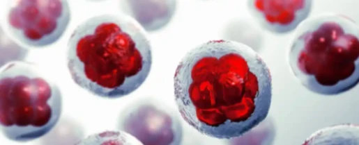 5-Amino-1MQ enzymes | Shaanxi BLOOM Tech Co., Ltd 5-Amino-1MQ enzymes | Shaanxi BLOOM Tech Co., Ltd