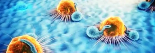 5-Amino-1MQ Inflammatory Balance | Shaanxi BLOOM Tech Co., Ltd 5-Amino-1MQ Inflammatory Balance | Shaanxi BLOOM Tech Co., Ltd