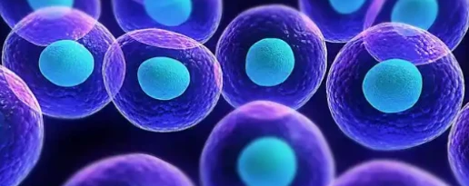 5-Amino-1MQ inflammatory molecules | Shaanxi BLOOM Tech Co., Ltd 5-Amino-1MQ inflammatory molecules | Shaanxi BLOOM Tech Co., Ltd