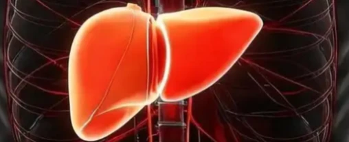 5-Amino-1MQ fatty tissue | Shaanxi BLOOM Tech Co., Ltd 5-Amino-1MQ fatty tissue | Shaanxi BLOOM Tech Co., Ltd