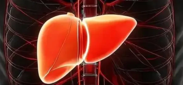 5-Amino-1MQ Hepatic Steatosis Reduction | Shaanxi BLOOM Tech Co., Ltd