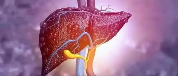 5-Amino-1MQ hepatic effects | Shaanxi BLOOM Tech Co., Ltd