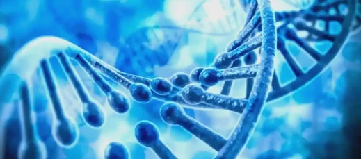 5-Amino-1MQ Genetic studies | Shaanxi BLOOM Tech Co., Ltd 5-Amino-1MQ Genetic studies | Shaanxi BLOOM Tech Co., Ltd