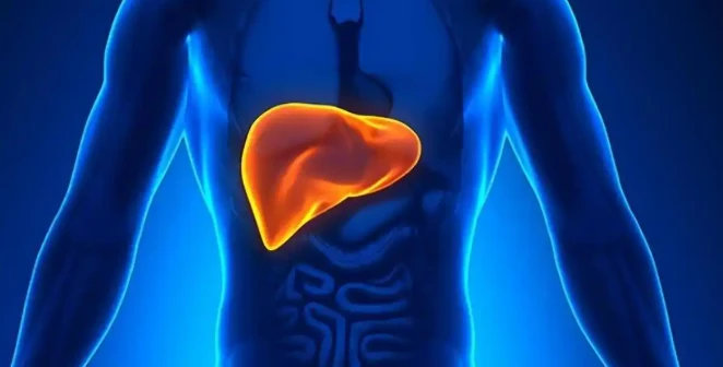 5-Amino-1MQ Hepatic Lipid | Shaanxi BLOOM Tech Co., Ltd 5-Amino-1MQ Hepatic Lipid | Shaanxi BLOOM Tech Co., Ltd