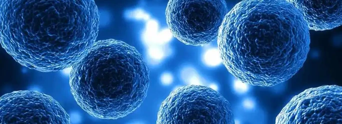 5-Amino-1MQ Drug | Shaanxi BLOOM Tech Co., Ltd 5-Amino-1MQ Drug | Shaanxi BLOOM Tech Co., Ltd