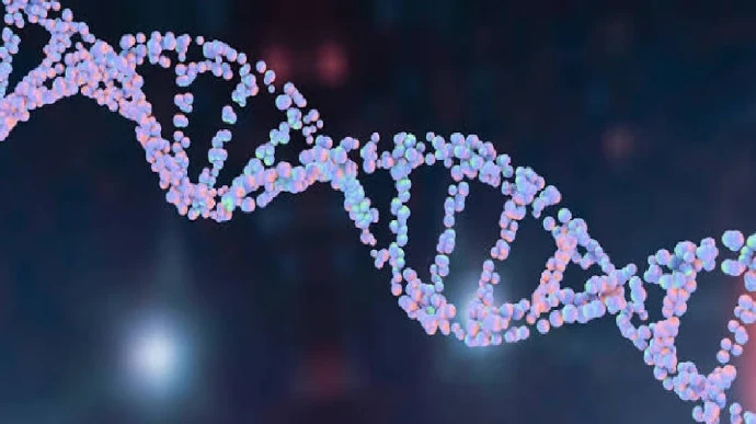 5-Amino-1MQ NAD+ | Kpeptide 5-Amino-1MQ NAD+ | Kpeptide