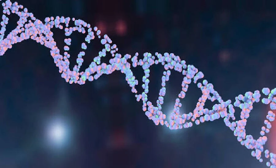 5-Amino-1MQ buy | Kpeptide 5-Amino-1MQ buy | Kpeptide