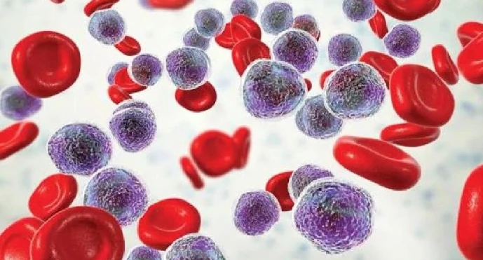 5-Amino-1MQ cell | Kpeptide 5-Amino-1MQ cell | Kpeptide