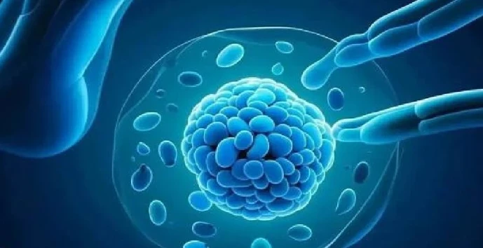 5-Amino-1MQ signaling | Kpeptide 5-Amino-1MQ signaling | Kpeptide