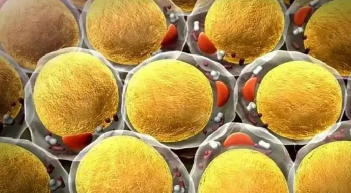 5-Amino-1MQ cellular | Kpeptide 5-Amino-1MQ cellular | Kpeptide