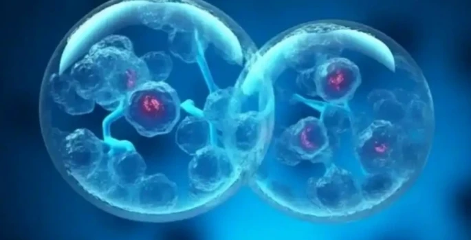 5-Amino-1MQ sales | Kpeptide 5-Amino-1MQ sales | Kpeptide