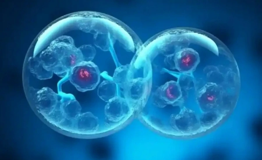 5-Amino-1MQ keep | Kpeptide 5-Amino-1MQ keep | Kpeptide