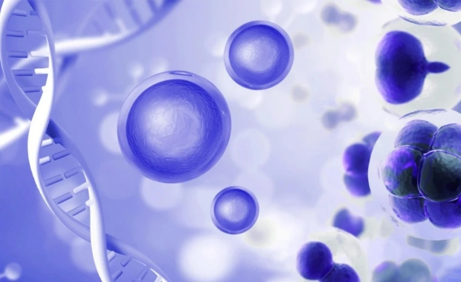 5-Amino-1MQ energy | Kpeptide 5-Amino-1MQ energy | Kpeptide