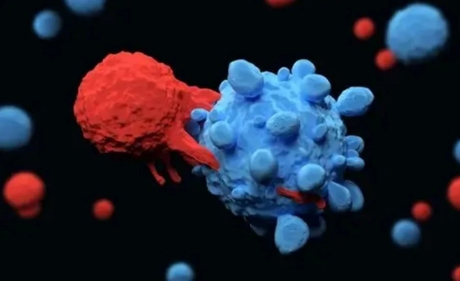 5-Amino-1MQ cost | Kpeptide 5-Amino-1MQ cost | Kpeptide
