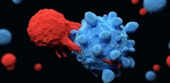 5-Amino-1MQ cell | Kpeptide 5-Amino-1MQ cell | Kpeptide