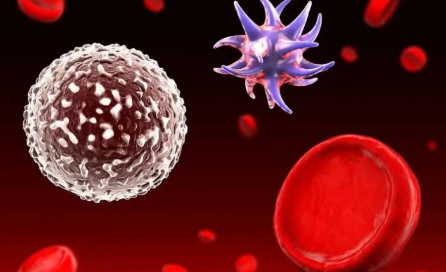 5-Amino-1MQ uses | Kpeptide 5-Amino-1MQ uses | Kpeptide