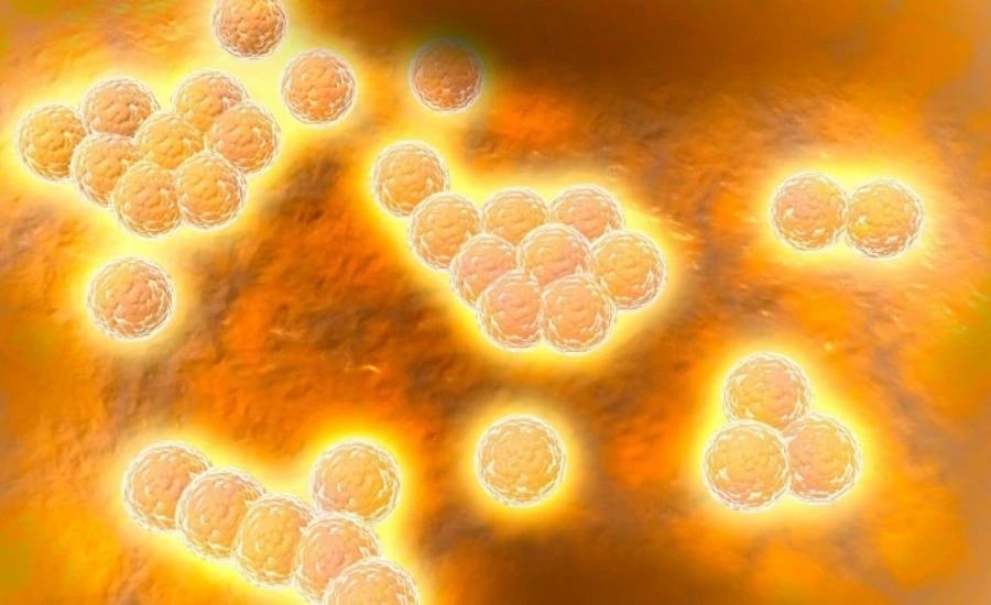 5 Amino 1MQ make | Kpeptide 5 Amino 1MQ make | Kpeptide