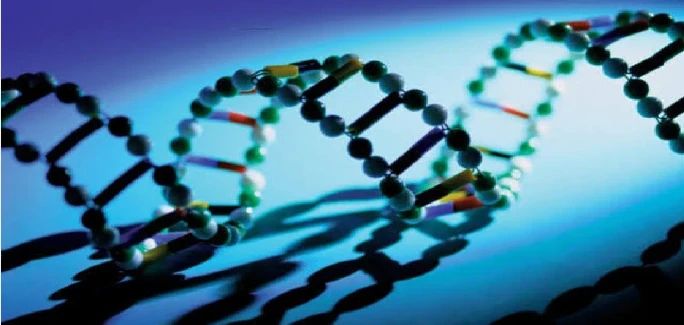 5 Amino 1MQ sales | Kpeptide 5 Amino 1MQ sales | Kpeptide