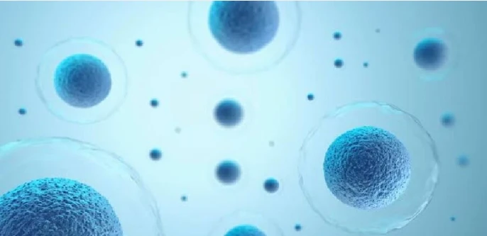 5 Amino 1MQ active | Kpeptide 5 Amino 1MQ active | Kpeptide