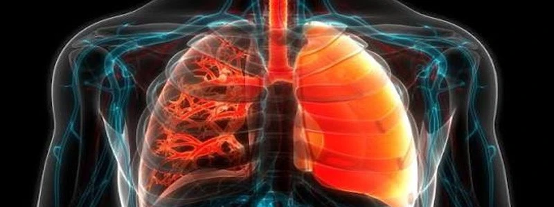 FOXO4-DRI Pulmonary fibrosis | Shaanxi BLOOM Tech Co., Ltd FOXO4-DRI Pulmonary fibrosis | Shaanxi BLOOM Tech Co., Ltd