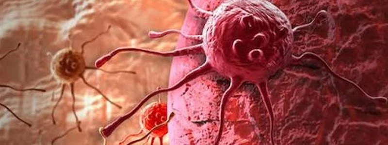 FOXO4-DRI Cancer cells | Shaanxi BLOOM Tech Co., Ltd FOXO4-DRI Cancer cells | Shaanxi BLOOM Tech Co., Ltd