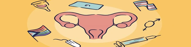FOXO4-DRI Reproductive health | Shaanxi BLOOM Tech Co., Ltd FOXO4-DRI Reproductive health | Shaanxi BLOOM Tech Co., Ltd