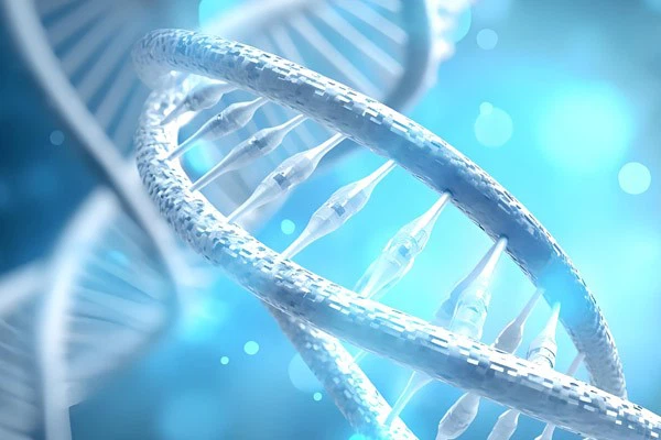 Nad+ Tablet drug | Shaanxi BLOOM Tech Co., Ltd Nad+ Tablet drug | Shaanxi BLOOM Tech Co., Ltd