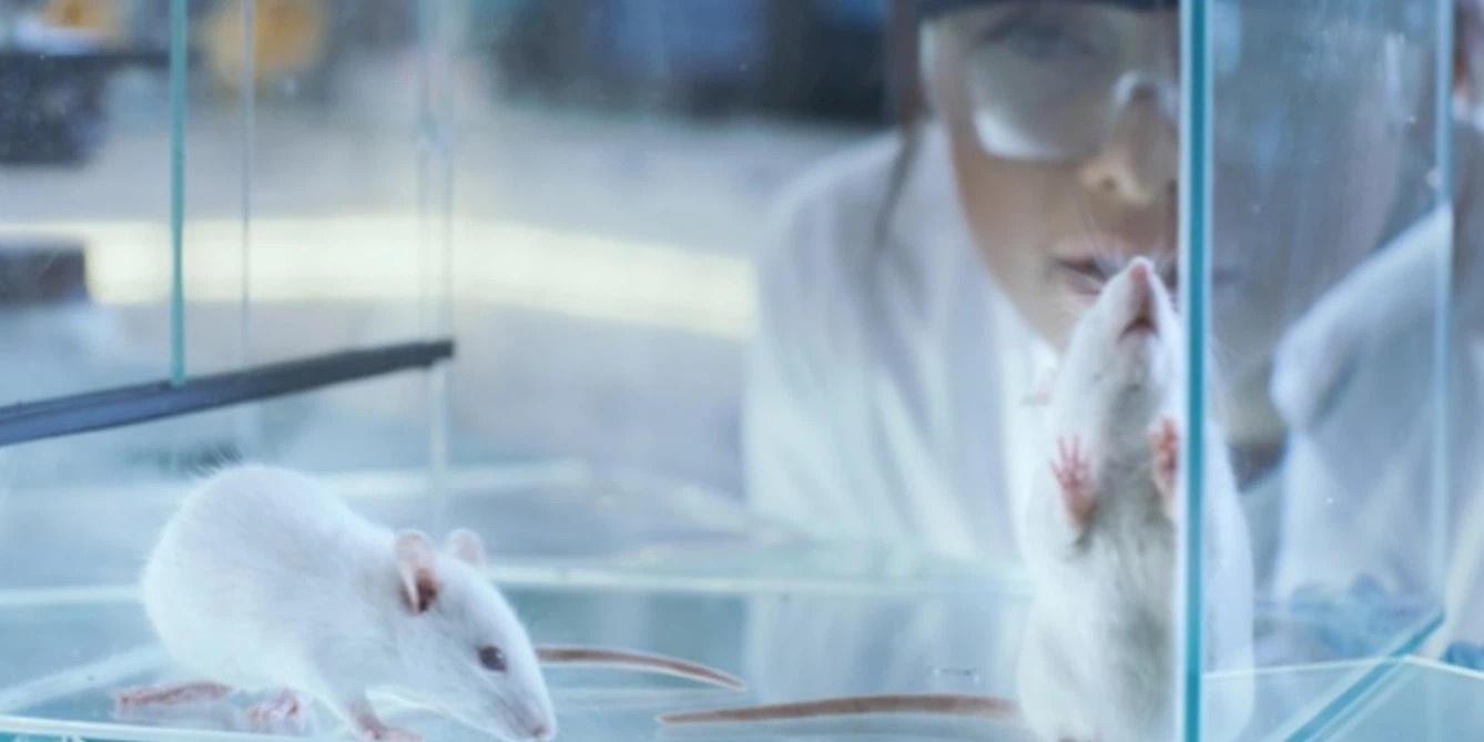 NAD+ Combination Therapies | Shaanxi BLOOM Tech Co., Ltd NAD+ Combination Therapies | Shaanxi BLOOM Tech Co., Ltd