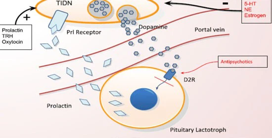 Protirelin Online | Shaanxi BLOOM Tech Co., Ltd Protirelin Online | Shaanxi BLOOM Tech Co., Ltd