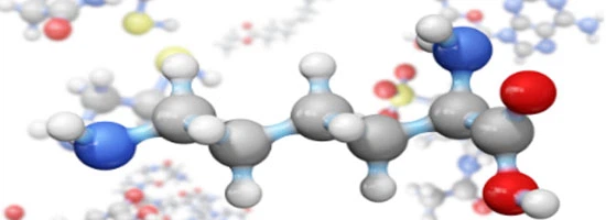 Protirelin Price | Shaanxi BLOOM Tech Co., Ltd Protirelin Price | Shaanxi BLOOM Tech Co., Ltd