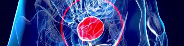 Cetrorelix price | Shaanxi BLOOM Tech Co., Ltd Cetrorelix price | Shaanxi BLOOM Tech Co., Ltd