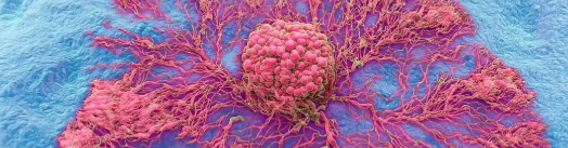 Cetrorelix online | Shaanxi BLOOM Tech Co., Ltd Cetrorelix online | Shaanxi BLOOM Tech Co., Ltd