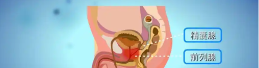 Cetrorelix for sale | Shaanxi BLOOM Tech Co., Ltd Cetrorelix for sale | Shaanxi BLOOM Tech Co., Ltd